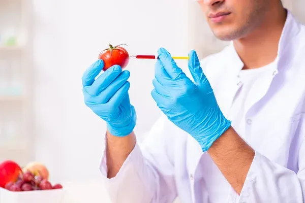 Quartermaster Food and Nutrition Laboratory